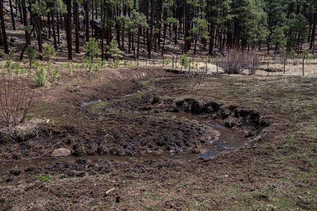 Soil erosion
